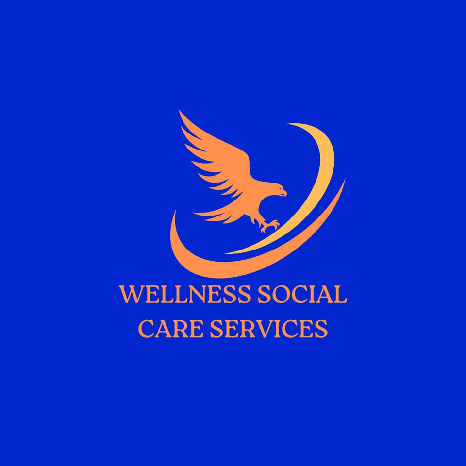 Wellness Social Care Services